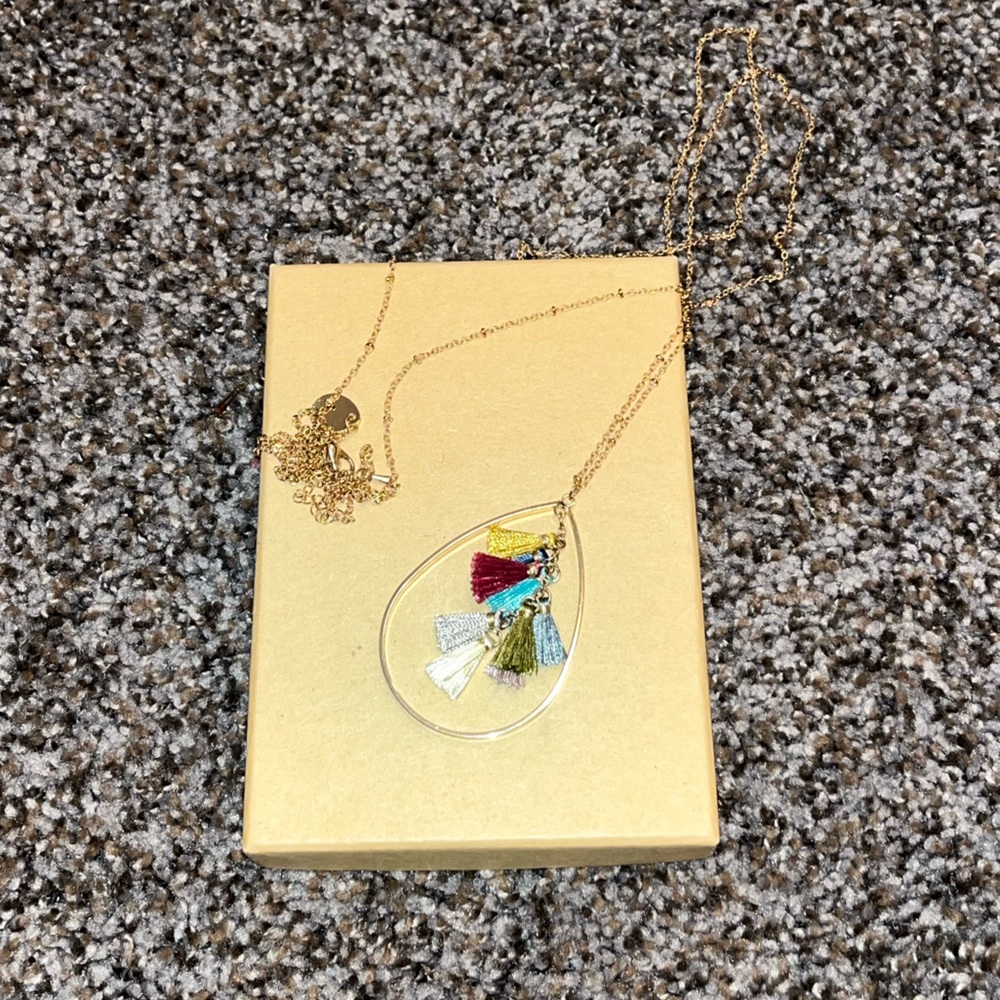 Tassel Pendant long chain necklace